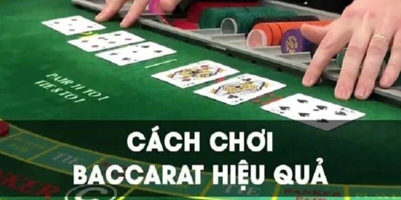 Chia sẻ cách chơi Baccarat nâng cao với độ chính xác lớn